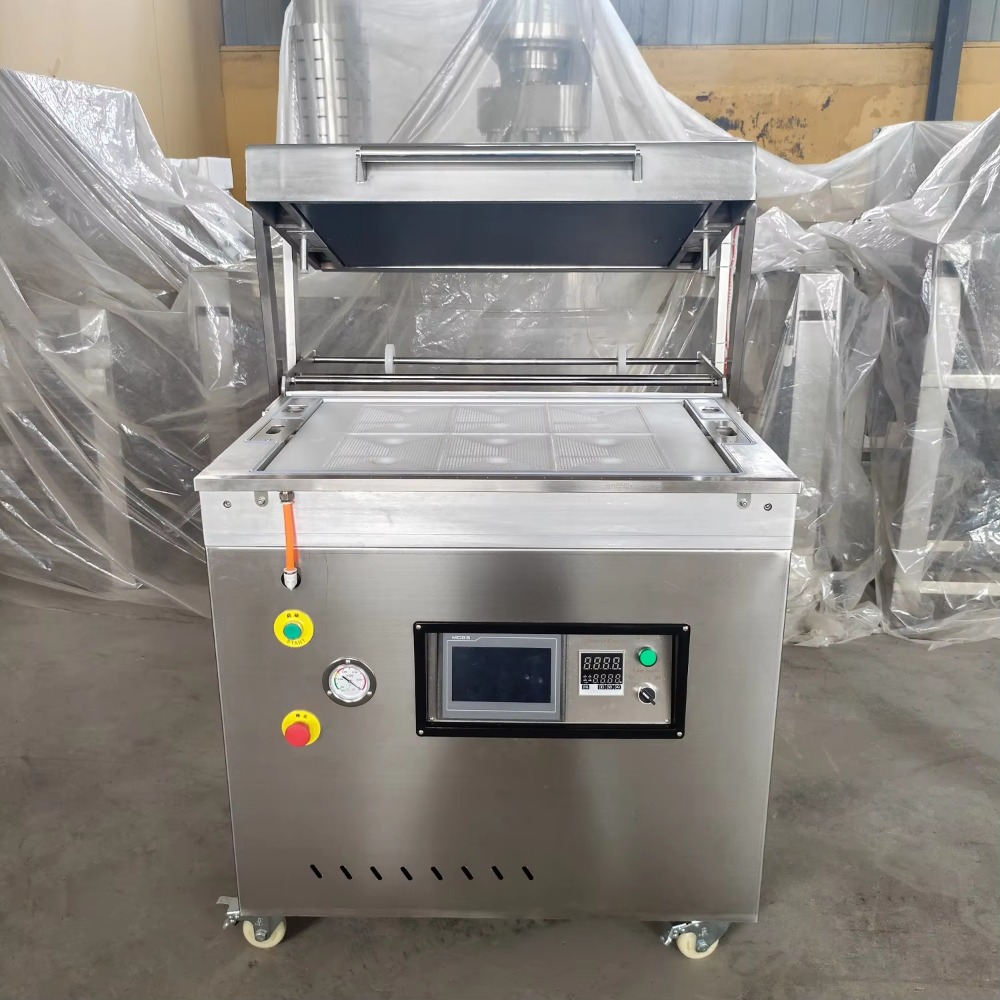 Automatische Edelstahl-Vakuumv – Food Vacuum Sealer Machine Bewertung und Preis